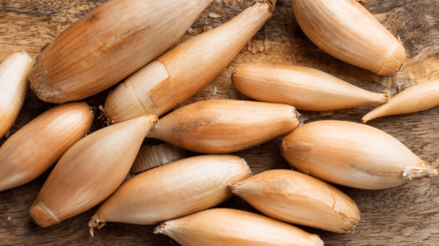 Recipe: Pickled Baby Echalions