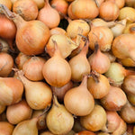 Pickling Onions - Baby Size (20-35mm)