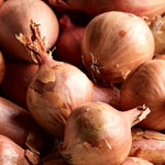 Round Pickling Shallots - Large (45mm+)*