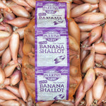 Banana Shallots - Large (40-60mm)
