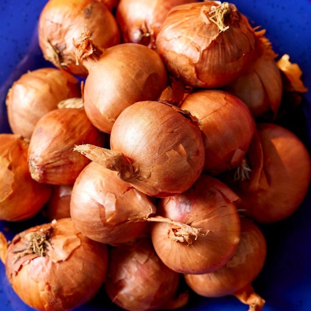 Round Pickling Shallots - Baby (20-25mm)