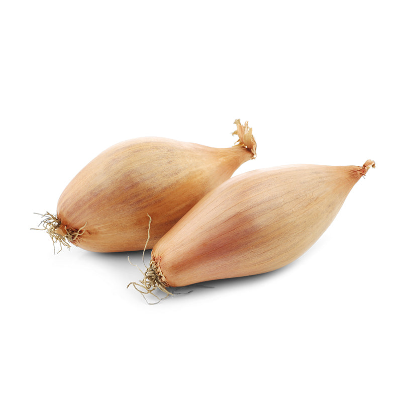 Banana Shallots - Large (40-60mm)