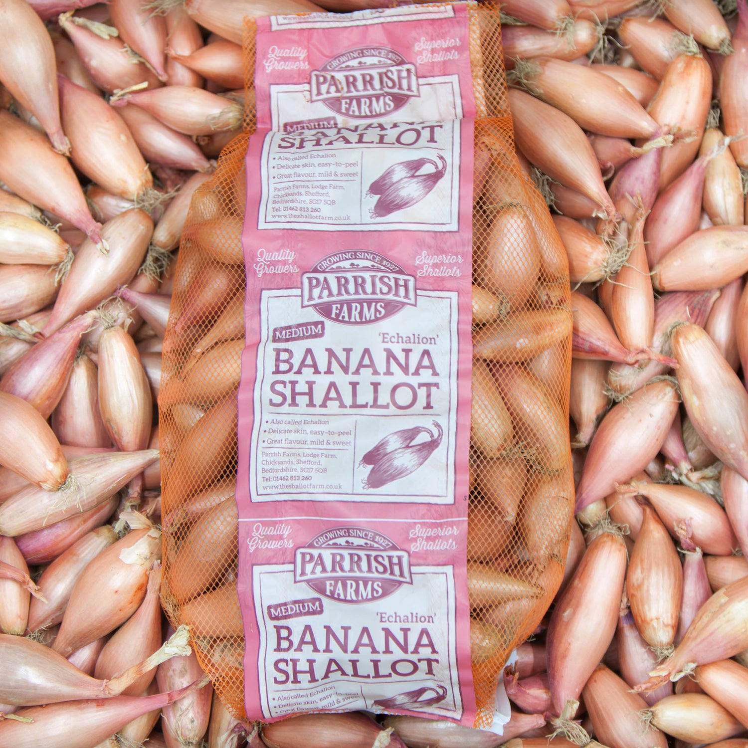 Banana Shallots - Medium (25-45mm)