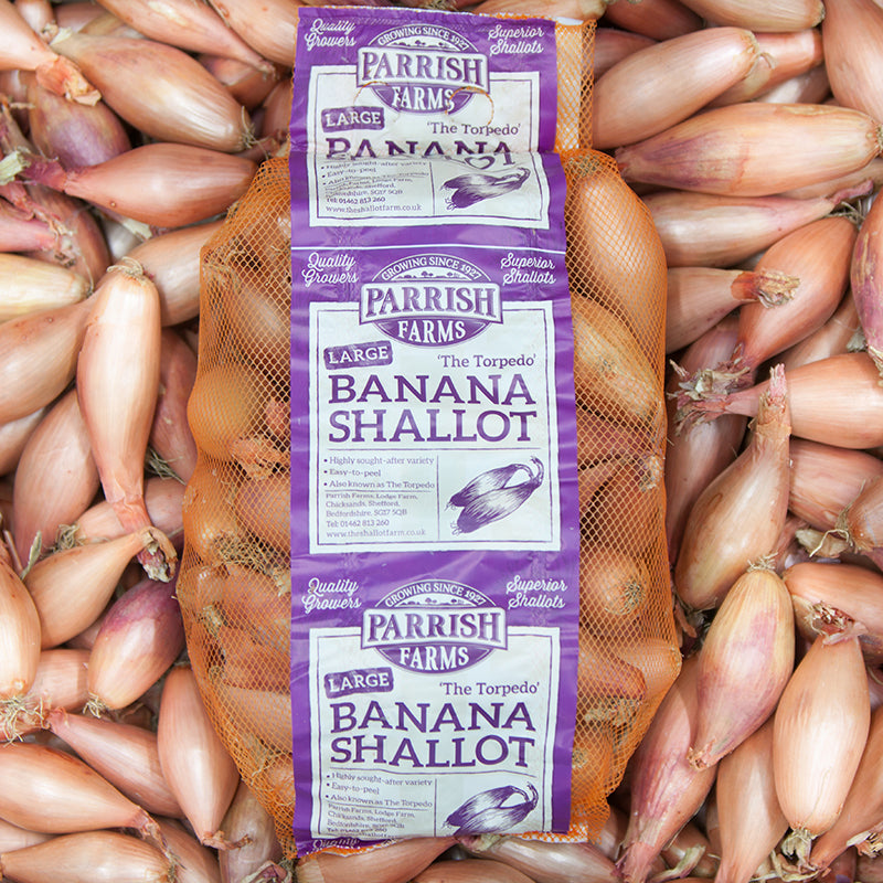 Banana Shallots - Large (40-60mm)