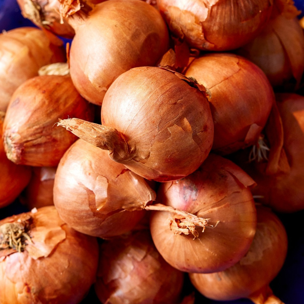 Round Pickling Shallots - Medium (25-45mm)
