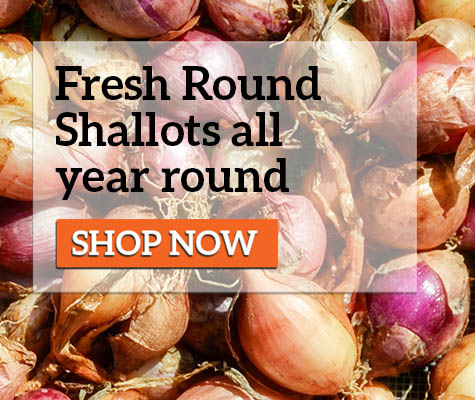 Parrish - Shallots 