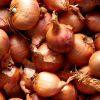 Round Pickling Shallots - Baby Size (20-25mm) - 3