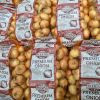 Pickling Onions - Large Size (45+mm) - 1